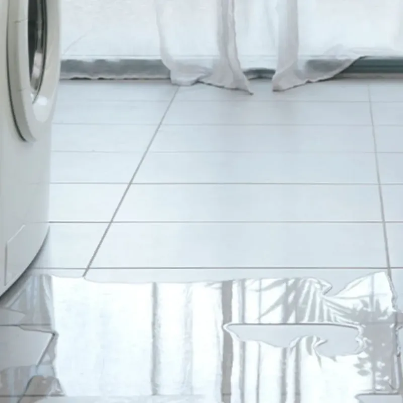 Appliance Leak Cleanup in Clinton, NC