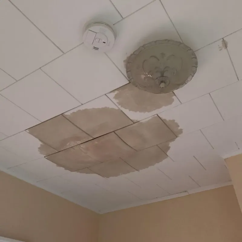 Ceiling Water Damage Repair in Clinton, NC