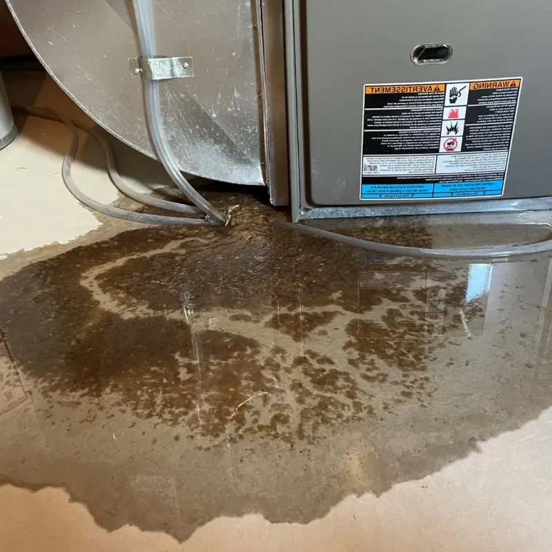 Pipe Burst and Leak Restoration in Clinton, NC